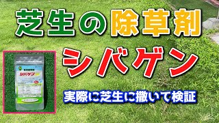 【千葉セカンドハウス】芝以外の雑草を失くすシバゲンを試してみた結果、、、