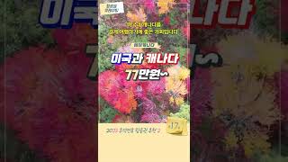 [항공권 큐레이팅] 2023 추석연휴 항공권 추천 2 - 에어캐나다 미국과 캐나다 77만원~ #shorts