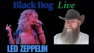 Led Zeppelin - Black Dog (Live 1973) reaction commentary