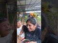 pq exotic birds park kochi one day destination in ekm youtubefeed