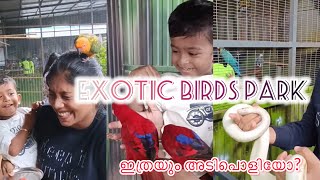 PQ exotic birds park kochi |one day destination in ekm |#youtubefeed |