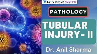 Tubular Injury | Part 2  | NEET PG 2021 | Dr. Anil Sharma