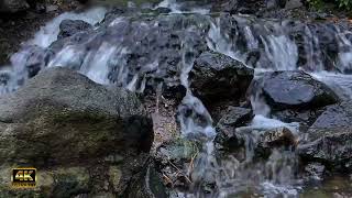 The beauty of the sound of a waterfall - The sound of nature -River sounds - Forest sounds