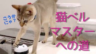 シンガプーラのプリン　猫ベルマスターへの道