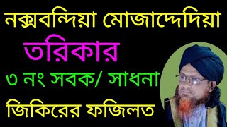 নক্সবন্দিয়া মোজাদ্দেদিয়া তরিকার ৩ নং সবক ও জিকিরের ফজিলত 🏵️পীর মাওঃমোমিনপুরী।