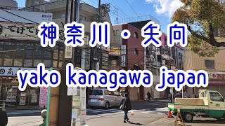 横浜・矢向の街並み walk in yako yokohama japan 2019年春