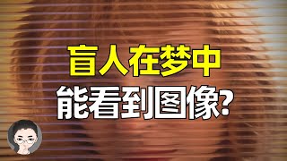 盲人在梦中能看到图像吗? 惊人的盲人梦境实验! | 埃利泽·斯滕伯格《神经的逻辑》