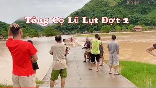 Tông Cọ Lũ Lụt Đợt Hai, Chỗ Các Bạn Thì Sao