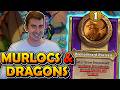 *NEW* Murlocs & Dragons! | Hearthstone Battlegrounds