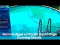 Clear Algae & Cloudy Pool With Flocculant (Clorox flocculant)