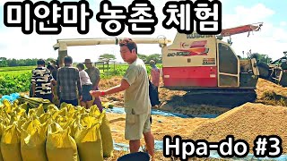 추수가 한창인 미얀마 농촌 체험 | Farm village of Myanmar | Myanmar Hpa-do #3 | မြန်မာကျေးရွာအတွေ့အကြုံ