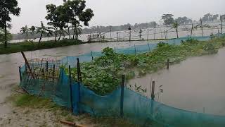 ময়মনসিংহ ধোবাউড়া উপজেলা অনেকগুলো গ্রাম বন্যার পানিতে প্লাবিত।