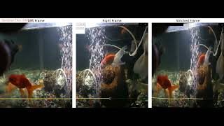 Video Stitching | Panorama | Robust Feature-based Image Matching | OpenCV | Python