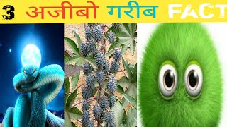 दुनिया ke 3 अजीब fact 🤔 || most popular facts || #unbelievable_fact #shorts