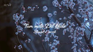 Tum mile Dil khile [ Slowed + reverb ] | lofi song _ Stebin Ben | Asees Kaur | Full audio song