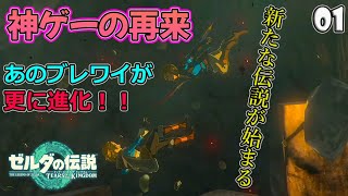 01 - 新たな伝説の幕開け【ゼルダの伝説 ティアーズ オブ ザ キングダム】