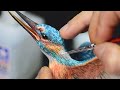 Diorama - Kingfisher catching a fish  polymer clay  Epoxy Resin  sculpting