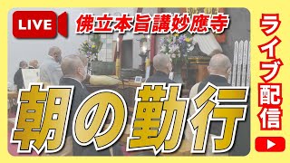 【公式】妙應寺チャンネル がライブ配信中！