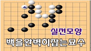 실전모양 - 백을 잡는 절묘한 묘수 - 바둑사활 묘수