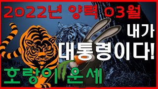 2022년 양력 3월 호랑이띠 운세 대통령은 내가 뽑는다. 세상이 변하니 운명도 변하는 구나!! / 운명 사주팔자 궁합 2022년 신년운세 사주상담  010.5571.9666