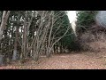 20211128 栃木県那須塩原市 鴫内一本杉森林公園〜大蛇尾林道 上り