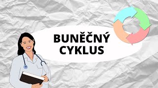 BUNĚČNÝ CYKLUS