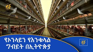 የኦንላይን የእንቁላል ግብይት በኢትዮጵያ