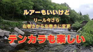 ルアーもいいけどテンカラもね（庄川水系）