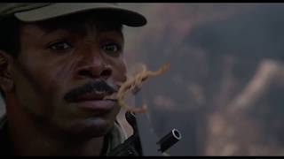 Anytime. Predator