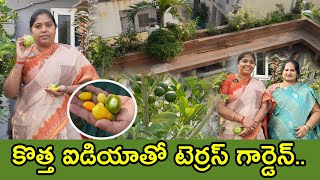 కౌసల్యగారి తోటలో రకరకాల Fruit plants, ఇష్టం ఉంటే ఎన్నైనా ఇలా చేసేస్తాం కదా| Terrace garden tour|TTH|