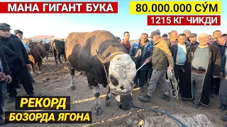 80 МИЛИОН СУ́М РЕКОРД ГИГАНТ БУКА СОТИЛДИ САВДО ЗУ́Р БУ́ЛДИ ХОРАЗМ МОЛ БОЗОРИ !!! ХОРАЗМ БОЗОР