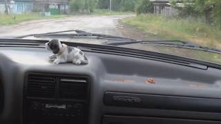 Дорога через село Сыропятское, Серебряное на Окунево.