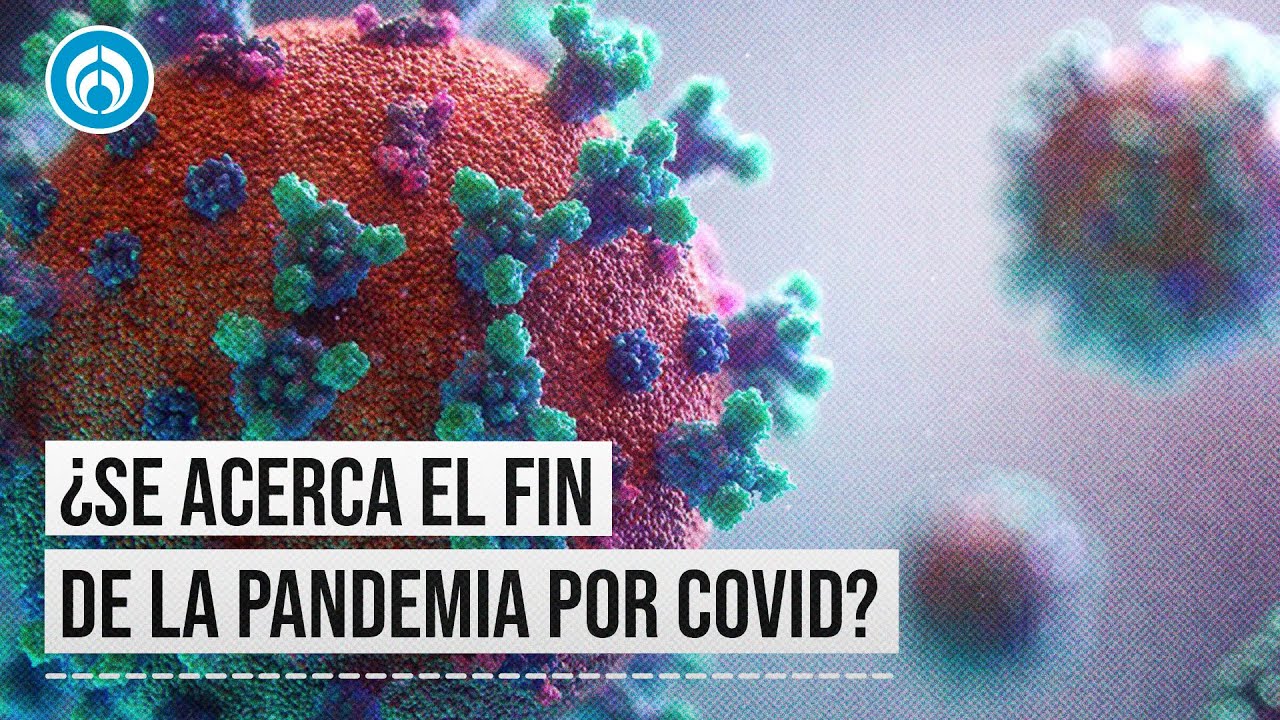 Ya Ha Pasado Lo Peor De La Pandemia Por Covid-19, Pero Nos Ha Costado ...