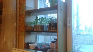 стеллаж для рассады с подсветкой своими руками фото