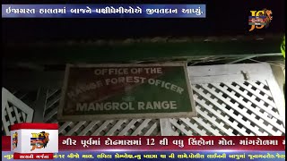 Mangrol:માંગરોળ : કુકસવાળા ગામેથી બાજ પક્ષી મળી આવ્યું.