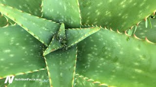 Is Aloe Vera Gel the Best Treatment for Lichen Planus?