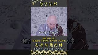 🙏淨空老法師🙏 覺醒 看破 放下250122 0356