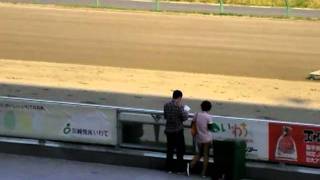 ケッパレ岩手競馬　盛岡競馬場