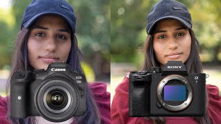 SONY a7 IV OR CANON R6 ? - Real Field Test Comparison