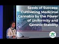 Seeds of Success: Cultivating Medicinal Cannabis by the Power of Uniformity and Genetic Stability