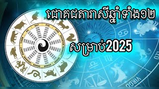 ជោគជតារាសីឆ្នាំទាំង១២ សម្រាប់ឆ្នាំ២០២៥// Horoscope for 2025