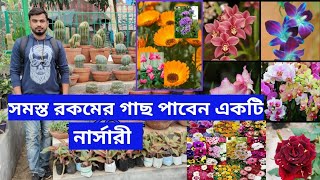 চলুন ঘুরে আসি নদীয়া জেলার  No. 1 নার্সারী থেকে |  Nadia Nursery .