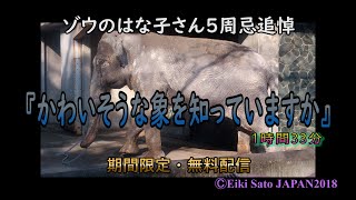 ゾウのはな子さん 5周忌追悼 ／ 期間限定・無料公開 ／ 『かわいそうな象を知っていますか』 2018年・フルハイビジョン 1時間33分