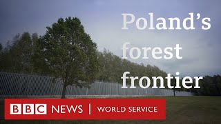 Poland's migrant barrier: 'It doesn't solve anything' - BBC World Service