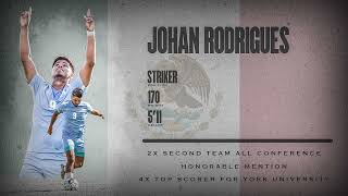 JOHAN RODRIGUEZ - HIGHLIGHTS