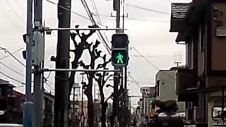 電球擬きLED歩行者信号機が坂戸市内にも現れた!!３