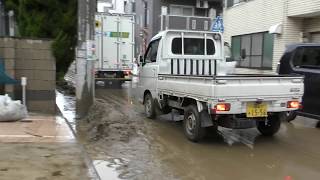 台風19号　多摩川冠水⑪　武蔵小杉