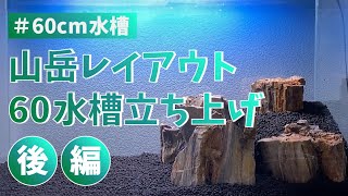 ＃2【60cm山岳レイアウト水槽】60cm水槽立ち上げ！木化石×水草で山岳レイアウト～後編～ #60cm水槽 #アクアリウム #山岳レイアウト