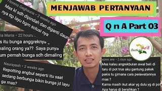 Menjawab Pertanyaan Tentang Anggrek Bulan; QnA Part 03