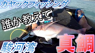 カヤックフィッシング　駿河湾で真鯛とトラフグ【誰か教えて編】